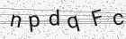 Código gerado pelo captcha