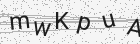 Código gerado pelo captcha