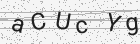 Código gerado pelo captcha