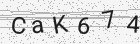 Código gerado pelo captcha
