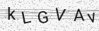 Código gerado pelo captcha