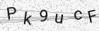 Código gerado pelo captcha