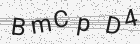 Código gerado pelo captcha
